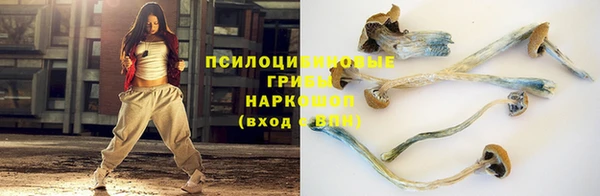 MDMA Premium VHQ Богородицк