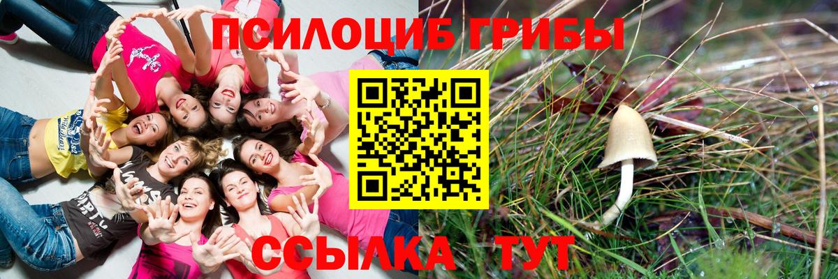 Псилоцибиновые грибы Magic Shrooms  Галлюциногенные грибы GOLDEN TEACHER  Улан-Удэ  Вход с VPN 